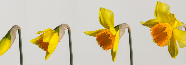 Angebote für die Passions- und Osterzeit